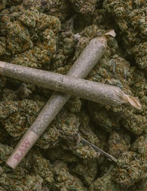 THCa Pre Rolls