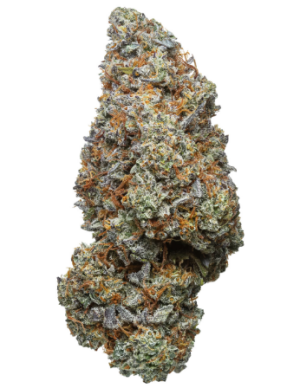 Garlic Breath